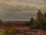 Midland Bog
