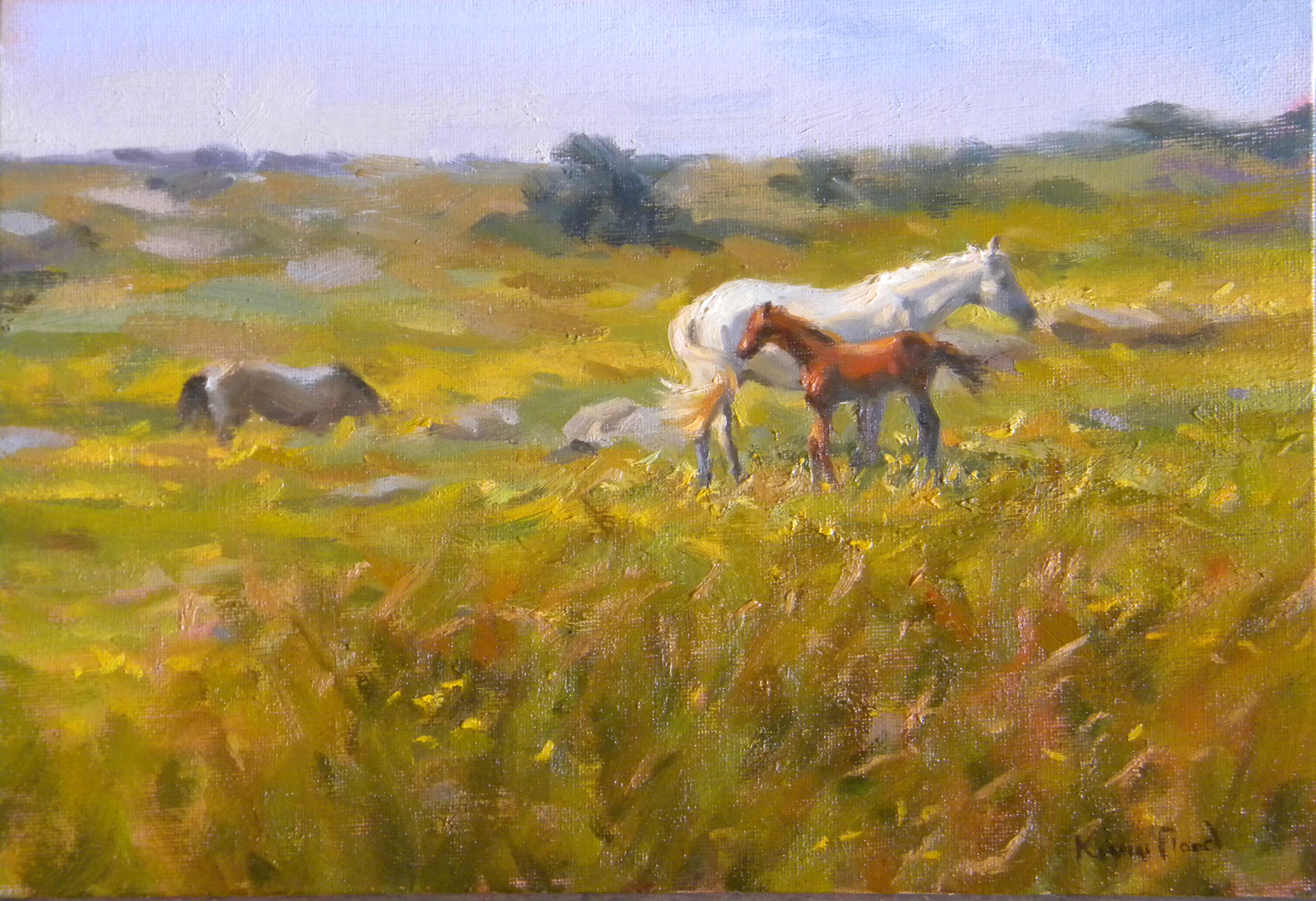 Horses in a West of Ireland landscape  10inx14in  Oil on  board ©Kevin Flood