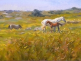 Horses in a West of Ireland landscape  10inx14in  Oil on  board ©Kevin Flood