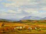 Sheep Path Connemara Oil on board 10in x 16in © Kevin Flood