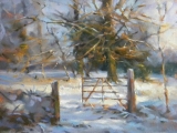 Winter Sunlight